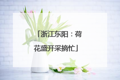 浙江东阳：荷花盛开采摘忙