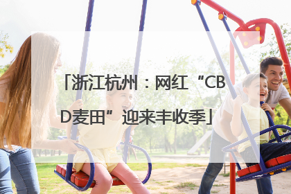 浙江杭州：网红“CBD麦田”迎来丰收季