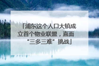 浦东这个人口大镇成立首个物业联盟，直面“三多三难”挑战