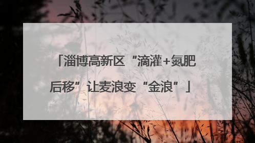 淄博高新区“滴灌+氮肥后移”让麦浪变“金浪”