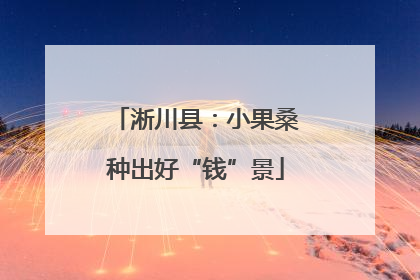 淅川县：小果桑种出好“钱”景