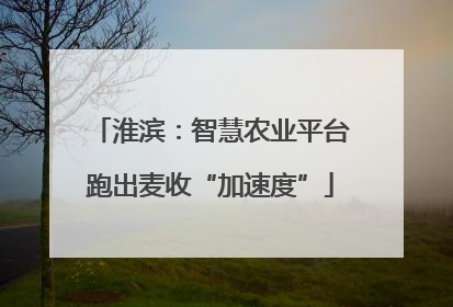 淮滨：智慧农业平台跑出麦收“加速度”
