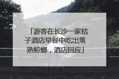 游客在长沙一家桔子酒店早餐中吃出蒸熟蟑螂，酒店回应