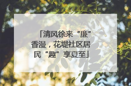 清风徐来“廉”香漫，花堤社区居民“趣”享夏至