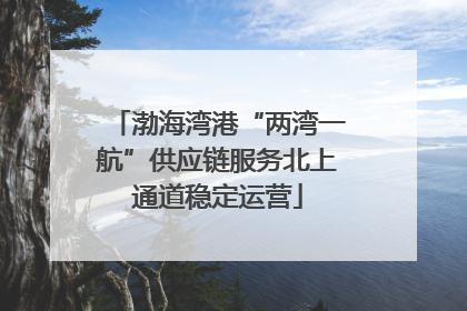 渤海湾港“两湾一航”供应链服务北上通道稳定运营