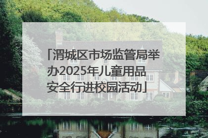 渭城区市场监管局举办2025年儿童用品安全行进校园活动