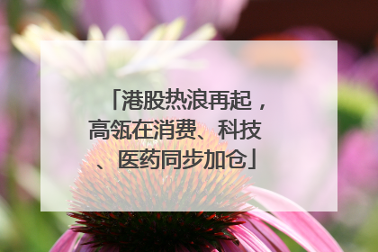 港股热浪再起，高瓴在消费、科技、医药同步加仓