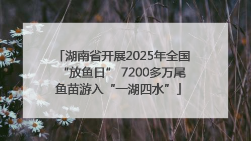 湖南省开展2025年全国“放鱼日” 7200多万尾鱼苗游入“一湖四水”