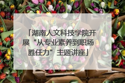 湖南人文科技学院开展“从专业素养到职场胜任力”主题讲座