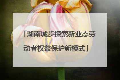 湖南城步探索新业态劳动者权益保护新模式