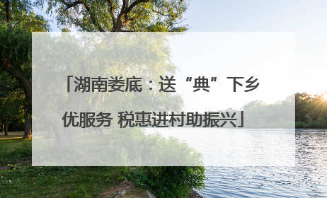 湖南娄底：送“典”下乡优服务 税惠进村助振兴
