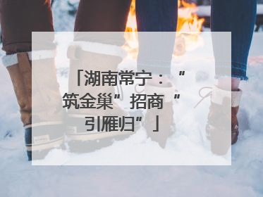 湖南常宁：“筑金巢”招商“引雁归”