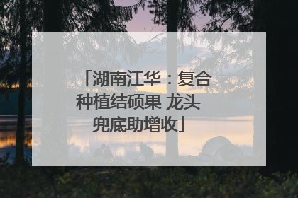 湖南江华：复合种植结硕果 龙头兜底助增收