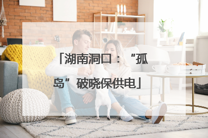 湖南洞口：“孤岛”破晓保供电