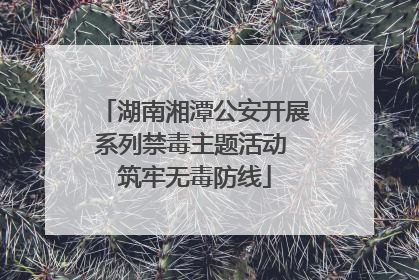 湖南湘潭公安开展系列禁毒主题活动 筑牢无毒防线