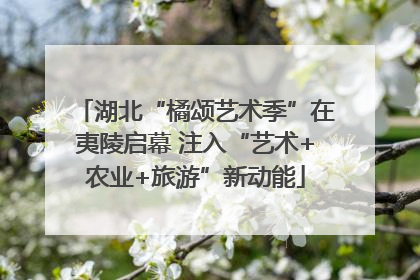 湖北“橘颂艺术季”在夷陵启幕 注入“艺术+农业+旅游”新动能