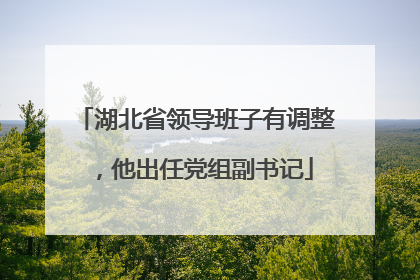 湖北省领导班子有调整，他出任党组副书记