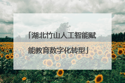 湖北竹山人工智能赋能教育数字化转型