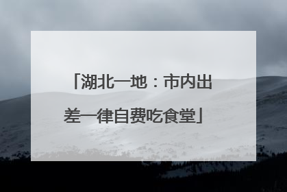 湖北一地：市内出差一律自费吃食堂