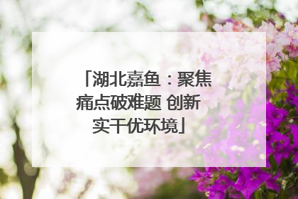 湖北嘉鱼：聚焦痛点破难题 创新实干优环境