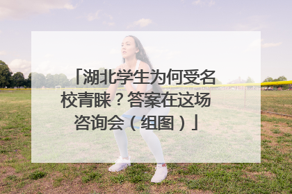 湖北学生为何受名校青睐？答案在这场咨询会（组图）