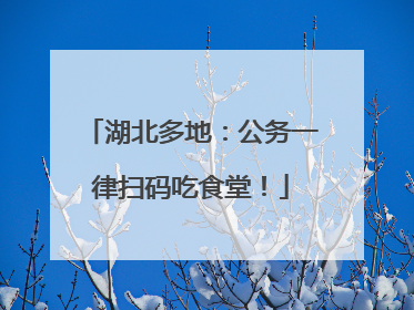 湖北多地：公务一律扫码吃食堂！