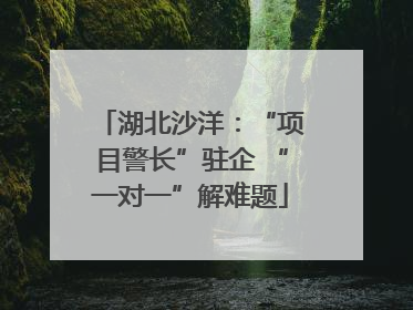 湖北沙洋：“项目警长”驻企 “一对一”解难题