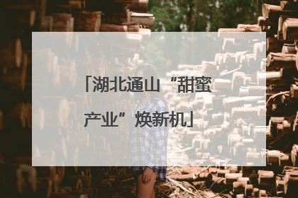湖北通山“甜蜜产业”焕新机