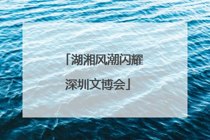 湖湘风潮闪耀深圳文博会