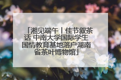 湘见端午丨佳节叙茶话 中南大学国际学生国情教育基地落户湖南省茶叶博物馆