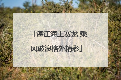 湛江海上赛龙 乘风破浪格外精彩