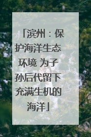 滨州：保护海洋生态环境 为子孙后代留下充满生机的海洋