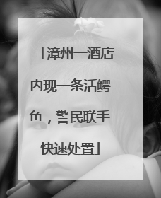 漳州一酒店内现一条活鳄鱼，警民联手快速处置