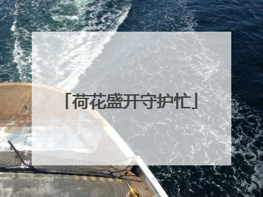 荷花盛开守护忙