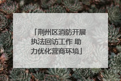荆州区消防开展执法回访工作 助力优化营商环境