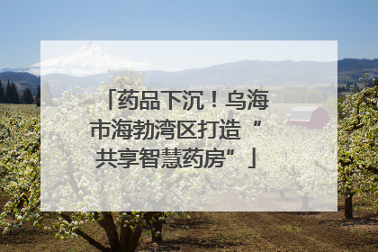 药品下沉！乌海市海勃湾区打造“共享智慧药房”