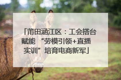 莆田涵江区：工会搭台赋能 “劳模引领+直播实训”培育电商新军