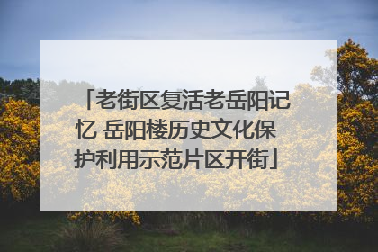 老街区复活老岳阳记忆 岳阳楼历史文化保护利用示范片区开街
