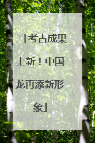 考古成果上新！中国龙再添新形象