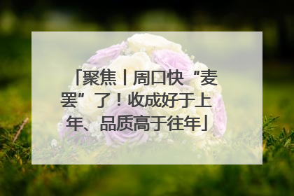 聚焦丨周口快“麦罢”了！收成好于上年、品质高于往年