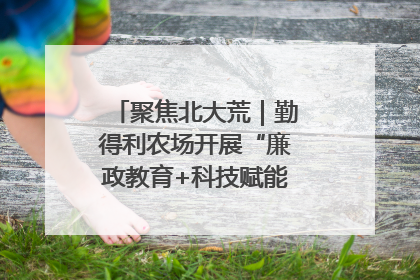 聚焦北大荒｜勤得利农场开展“廉政教育+科技赋能”主题党日活动