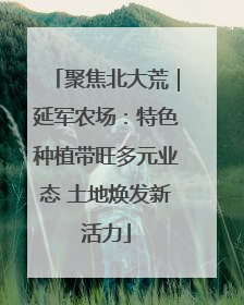 聚焦北大荒｜延军农场：特色种植带旺多元业态 土地焕发新活力