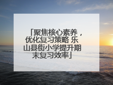 聚焦核心素养，优化复习策略 乐山县街小学提升期末复习效率