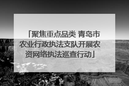 聚焦重点品类 青岛市农业行政执法支队开展农资网络执法巡查行动