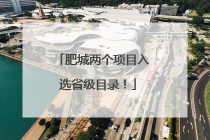 肥城两个项目入选省级目录！