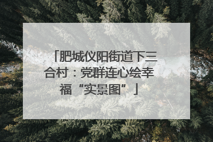 肥城仪阳街道下三合村：党群连心绘幸福“实景图”