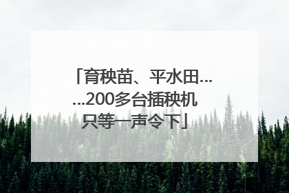 育秧苗、平水田……200多台插秧机只等一声令下