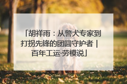胡祥雨：从警犬专家到打拐先锋的团圆守护者｜百年工运·劳模说