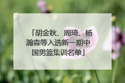 胡金秋、周琦、杨瀚森等入选新一期中国男篮集训名单