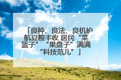 良种、良法、良机护航夏粮丰收 居民“菜篮子”“果盘子”满满“科技范儿”